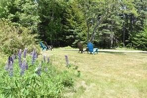 Property grounds - Large Secluded Pet Friendly Home Just 3 min. Walk To Harbor- 
FALL SPECIALS!! (Bass Harbor)