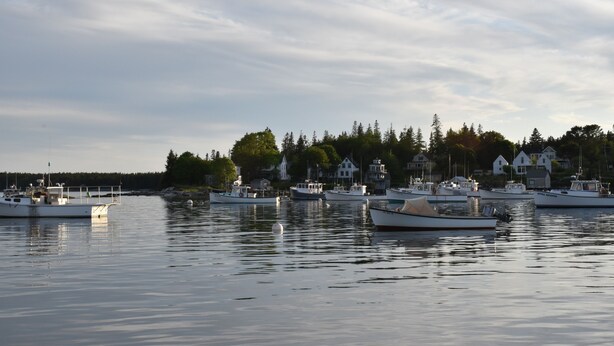 A marina with several boats docked, calm water, and houses in the background.