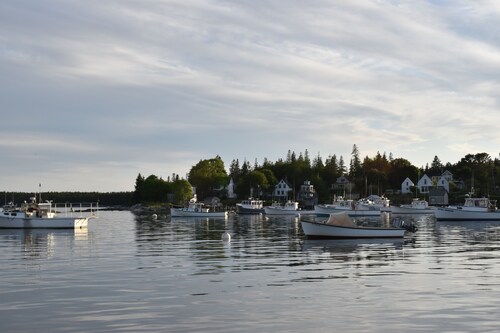 Suuri yksinäinen lemmikkiystävällinen koti vain 3 min. Kävele rantaviivaa