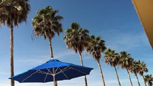A blue umbrella under a palm tree, surrounded by other palm trees. - Beachcomber unit 501 (Longboat Key)