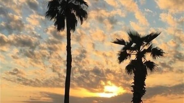 A sunset view with two palm trees and the ocean. - Beachcomber unit 501 (Longboat Key)