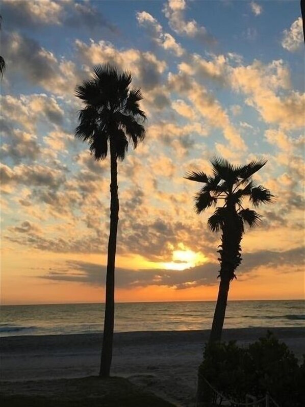 على الشاطئ، كراسي للتشمس، مظلات الشاطئ، مناشف للشاطئ