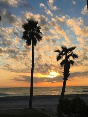 A sunset view with two palm trees and the ocean.