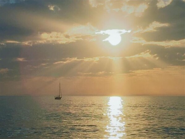 Unclassified image, 1 of 19, button