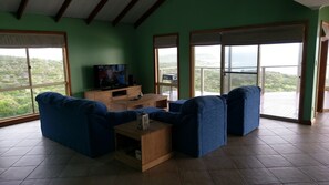 TV, video games, DVD player, ping pong