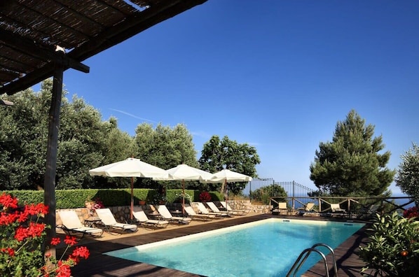 A swimming pool with lounge chairs and umbrellas, surrounded by greenery and trees.