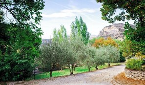 A gravel path leading through an olive grove with trees and a stone wall on one side. - Treehouse 2 people - spa & pool - exceptional view (Montréal-les-Sources)