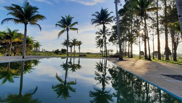 Un área de piscina tranquila con palmeras y cielo despejado.