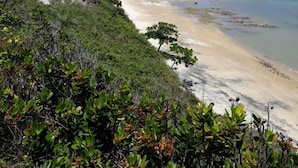 Una playa con cielos despejados, orillas de arena y vegetación escasa.
