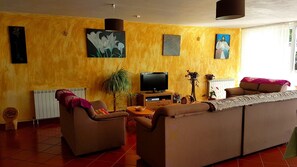 电视、壁炉、DVD 播放器、书