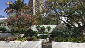Ein angelegter Garten mit verschiedenen Pflanzen und Bäumen, ein gepflasterter Weg und eine weiße Mauer.