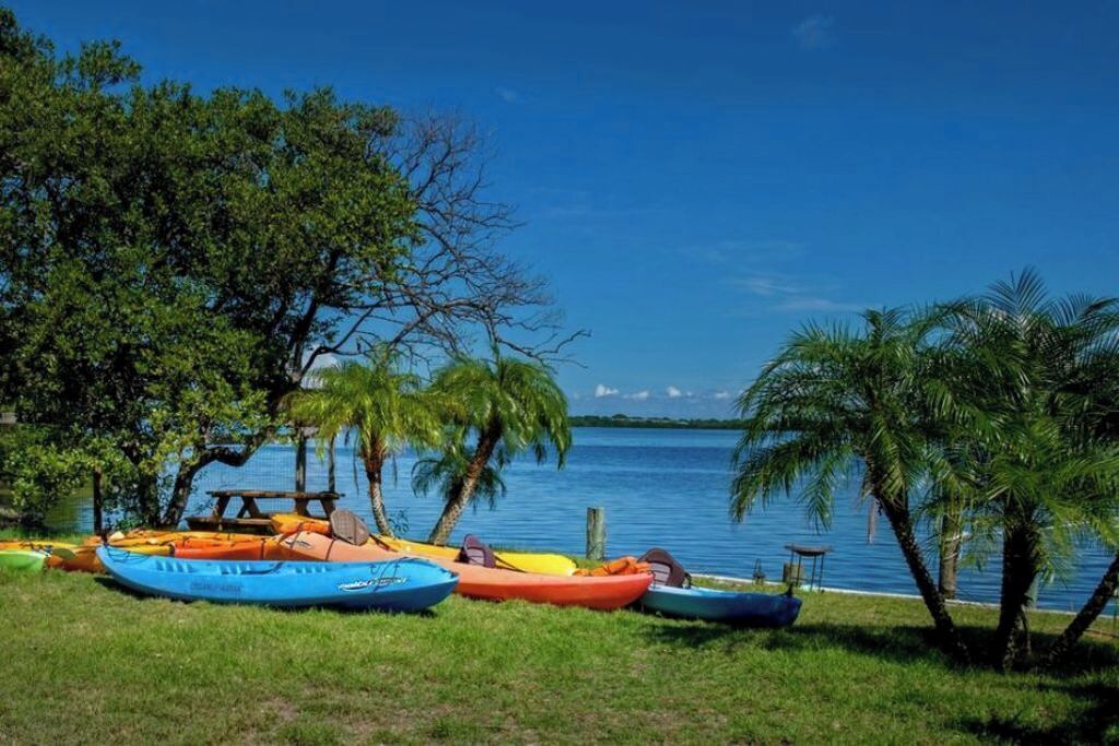 Un área con césped, varias kayaks alineados cerca del agua, rodeado de árboles.