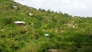 A hillside with several small buildings, likely residential or guest houses, surrounded by dense greenery. - very spacious, neat and organized (Gros Islet)