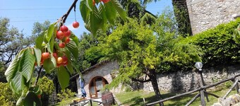 ferme calcinaia sur le lac APPARTEMENT GRANGE 4/6 PLACES PISCINE park sp