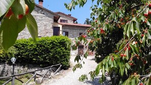 Overnattingsstedets uteområder