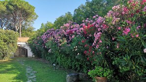 Ein Garten mit einem gepflasterten Weg, einer Steinmauer und verschiedenen blühenden Sträuchern.