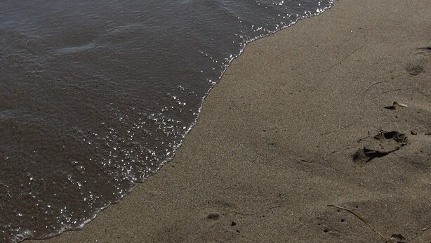 In Strandnähe, Liegestühle