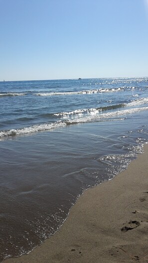 Beach - ROCCAMARE VILLA WITH POOL AND PRIVATE BEACH (Castiglione della Pescaia)