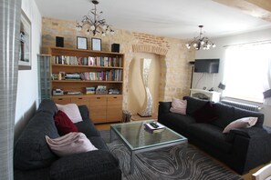 TV connectée, cheminée, livres, médiathÚque