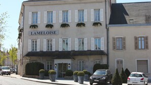 Un edificio con un letrero que dice "LAMELLOISE" y una fila de macetas con plantas en la entrada.