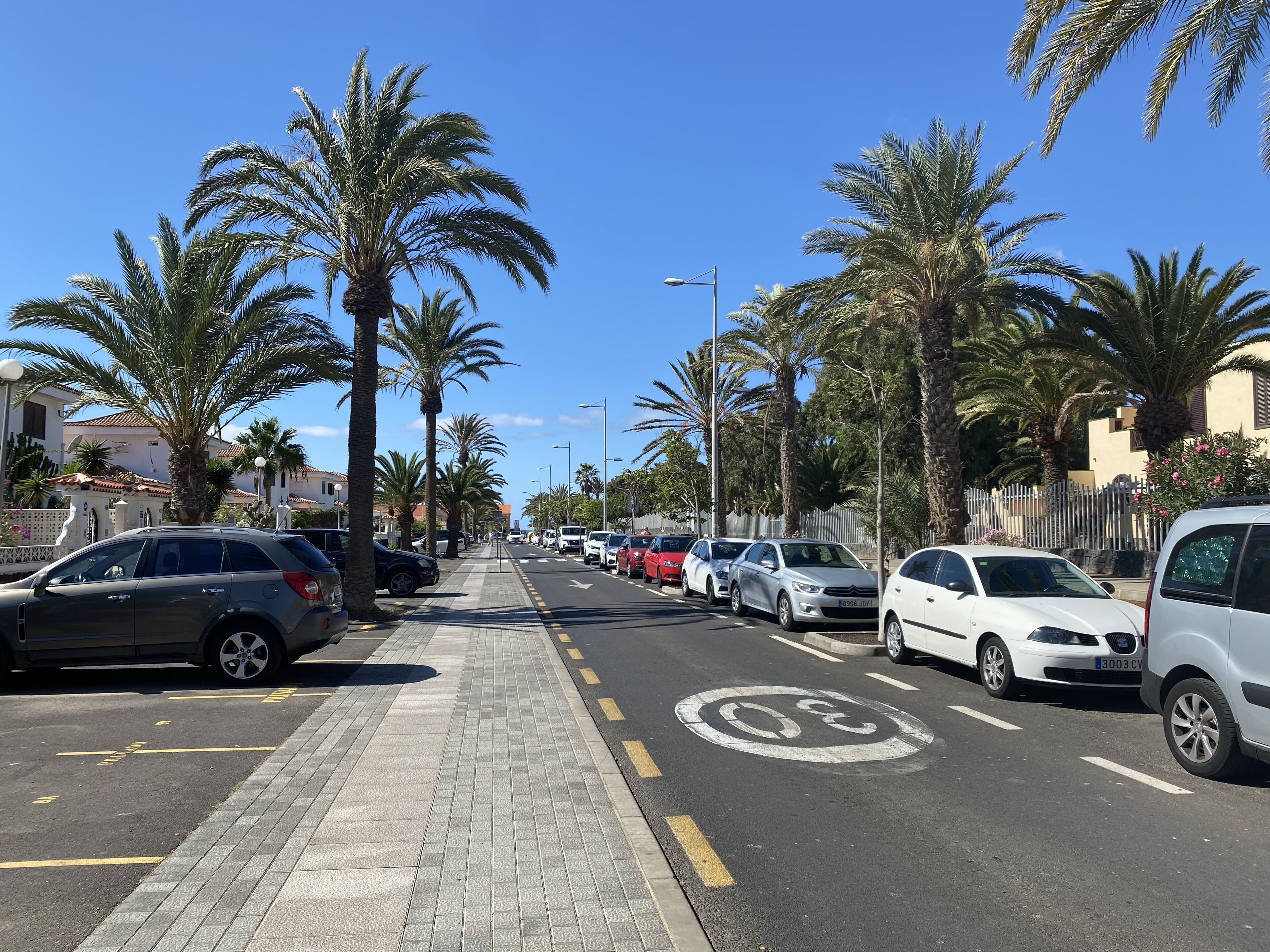 Een straat met palmbomen en geparkeerde auto's.