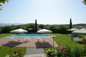Outdoor pool - MALVASIA APARTMENT at MUSIGNANO farm holidays (Cerreto guidi)