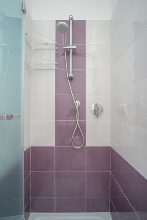 Regadera, secadora de cabello, bidet, toallas 