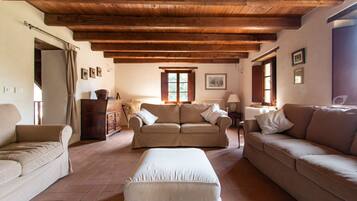 Télévision, cheminée, lecteur de DVD, livres