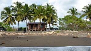 Une plage bordée de palmiers et une maison en bois.