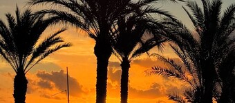 PISO FRENTE AL MAR - PRIMERA LINEA PLAYA DE SAN JUAN