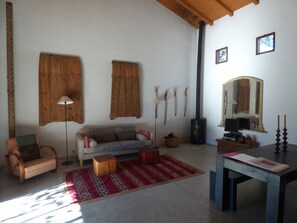 Televisio, takka, DVD-soitin, kirjoja