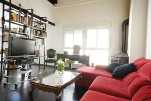 Télévision, cheminée, chaßne hi-fi