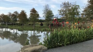 A tranquil park with a pond, lush greenery, and a mountain in the background. - Green Resort (Wujie)