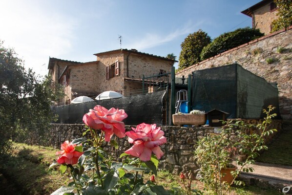 Property grounds - Casa Paola, a few kilometers far from Versilia's sea.. (Camaiore)