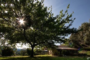 Miscellaneous - Casa Paola, a few kilometers far from Versilia's sea.. (Camaiore)