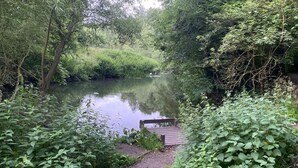 A serene riverside path with a wooden dock leading into a calm river, surrounded by lush greenery.