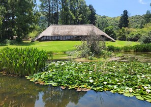 Property grounds - Little Switzerland Resort (Jagersrust)