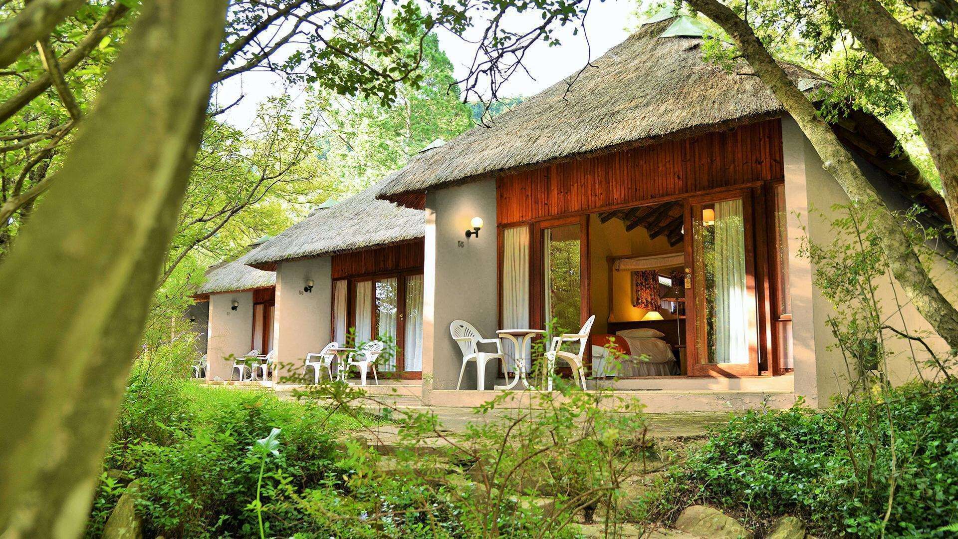 Deluxe Room | Premium bedding, in-room safe, desk, laptop workspace