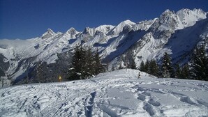 Paisaje nevado de montaña con cielo despejado.