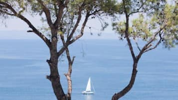 Panoramic-Suite, Mehrere Betten, Meerblick | Terrasse/Patio