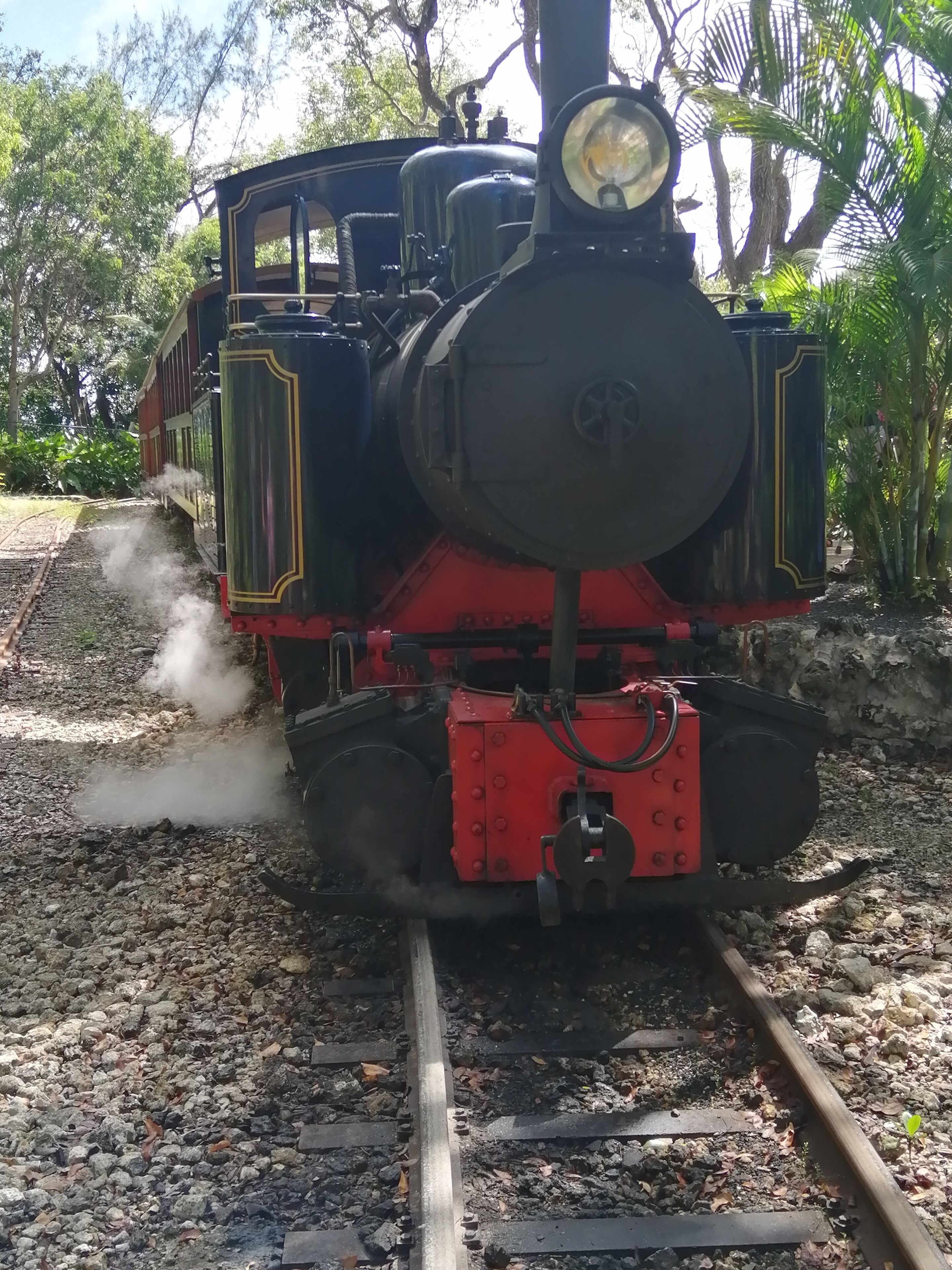 A steam locomotive on tracks surrounded by greenery.