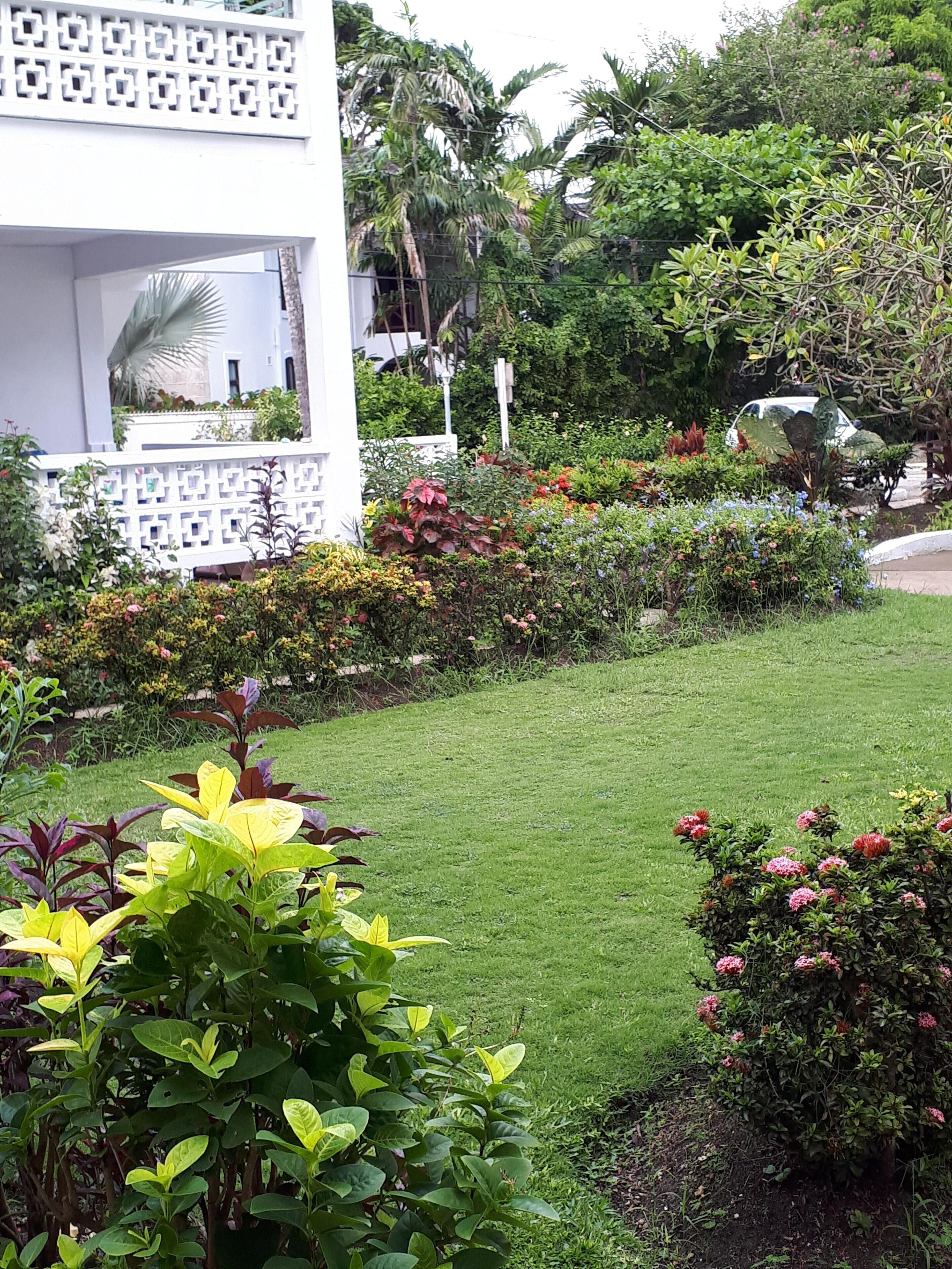 A well-maintained garden with various plants and flowers, a white building with a patterned facade, and a clear pathway.
