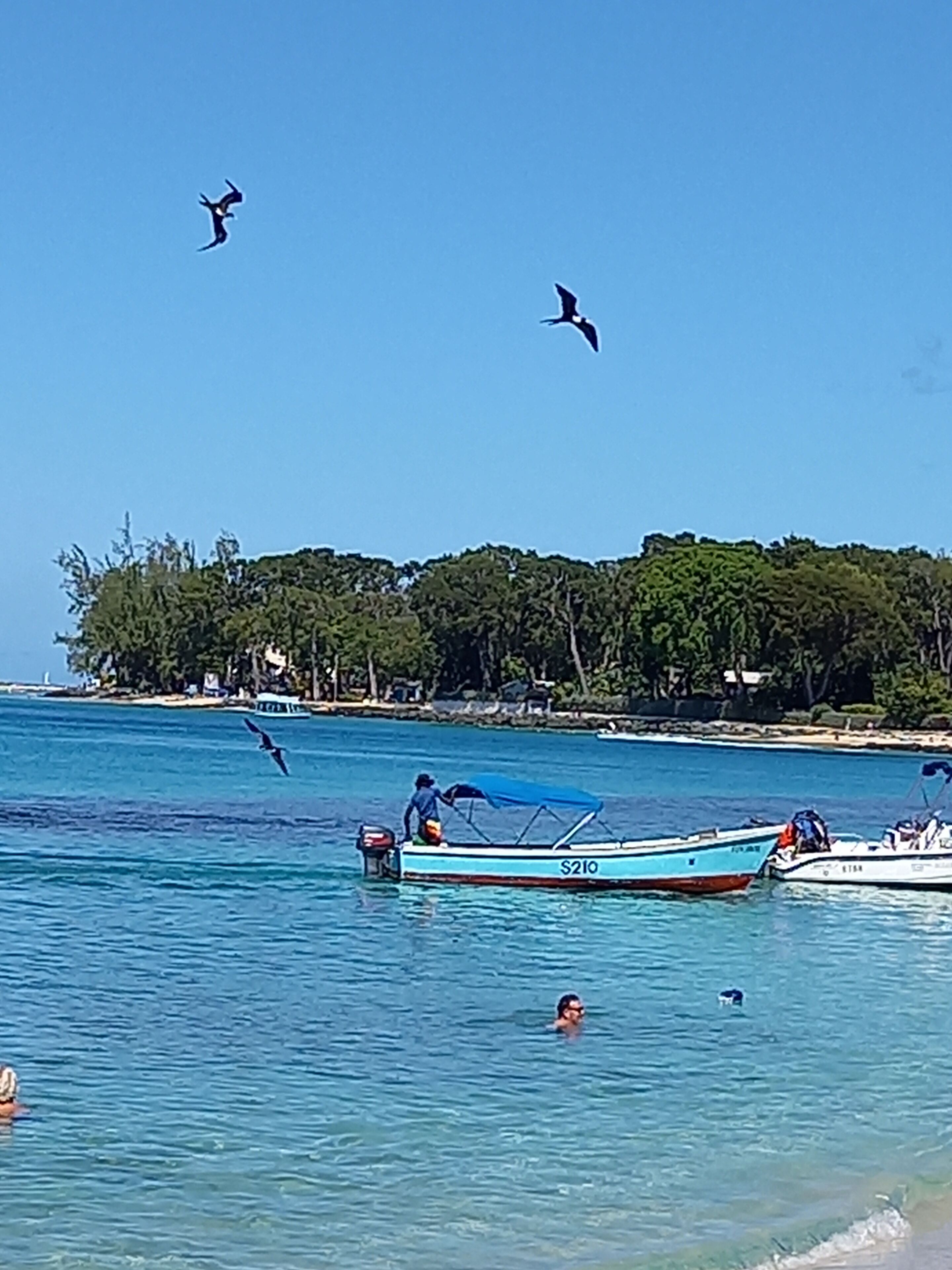 A coastal scene with boats and people in the water, a clear sky, and a forested landmass in the background.