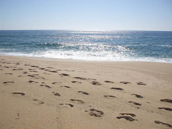 Camastros y toallas de playa