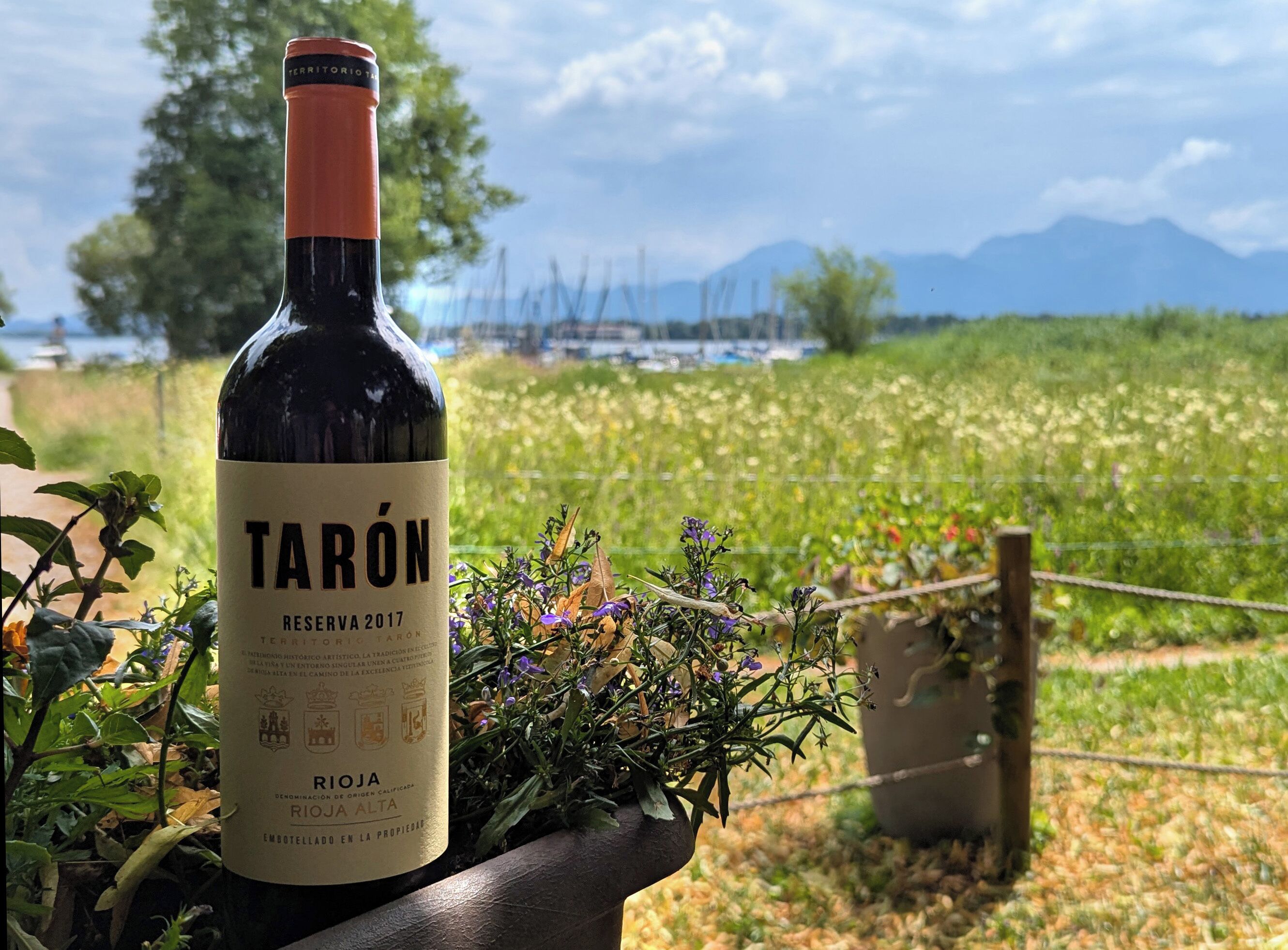 Une bouteille de vin Tarón Reserva 2017, dont l’étiquette indique qu’il est originaire de la région de Rioja Alta, est posée sur une table. En arrière-plan, on aperçoit un vignoble et des montagnes.