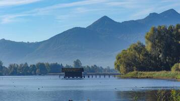 A dock extending into a calm lake with ducks swimming nearby, surrounded by mountains and trees.