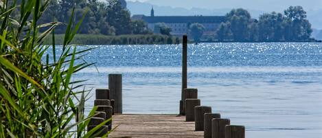 Un muelle de madera que se adentra en aguas tranquilas, rodeado de vegetación y un edificio distante.