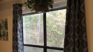 A room with a large window, a hanging plant, and a radiator. - Peaceful Country Cozy home semi secluded minutes to North end of Lake Ouachita. (Jessieville)