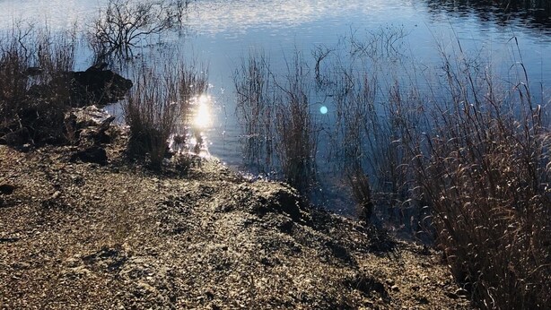 A calm lake with a clear sky and distant trees. - Peaceful Country Cozy home semi secluded minutes to North end of Lake Ouachita. (Jessieville)