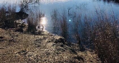 Peaceful semi secluded home minutes to North end of Lake Ouachita.